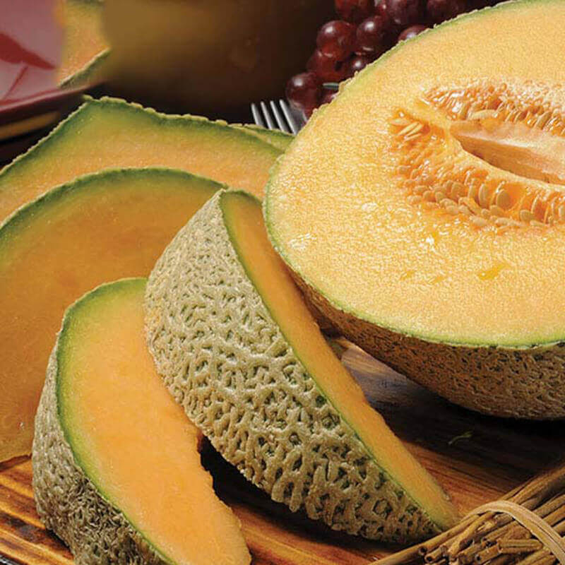 Cantaloupe
