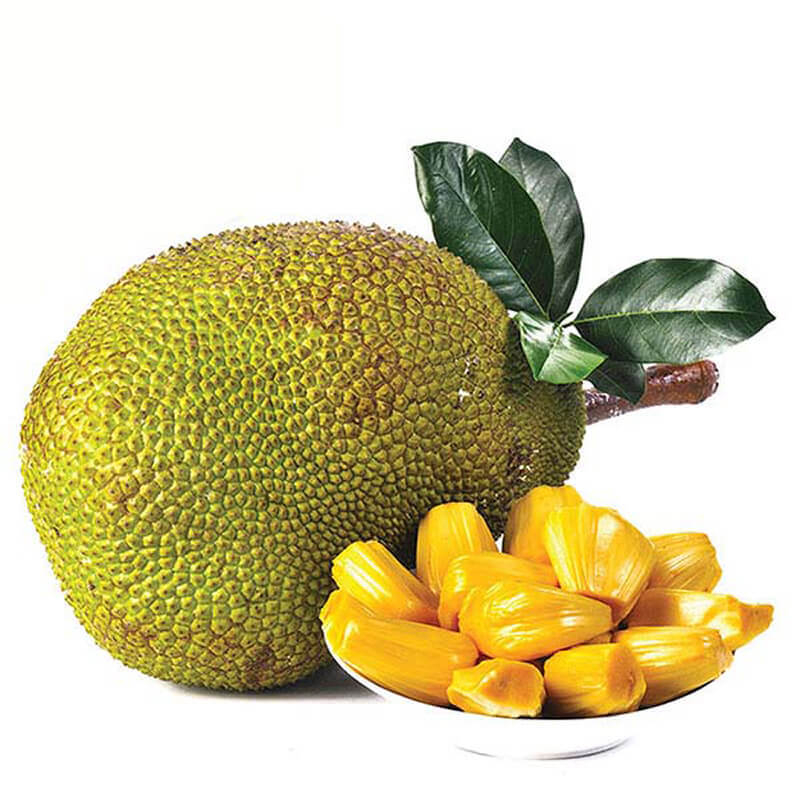 Jackfruit
