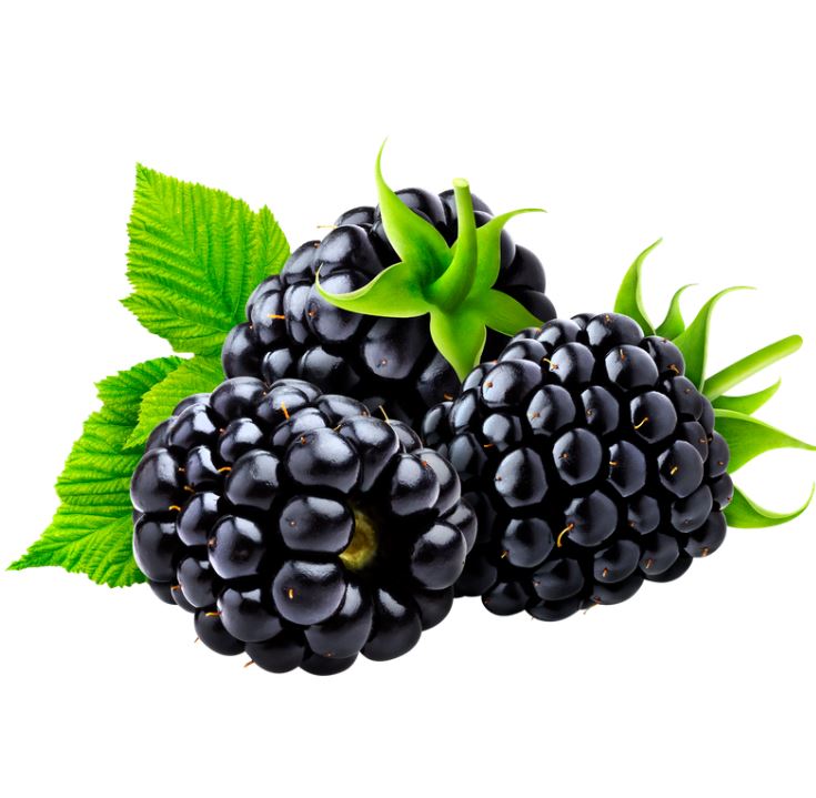 Blackberry