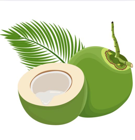 Coconut