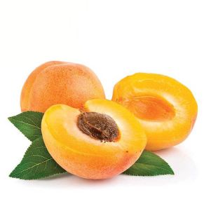 Apricot