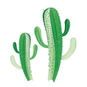 Cactus 
