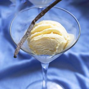 Vanilla Bean Ice Cream