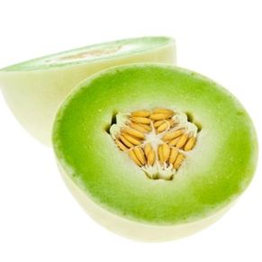 Honeydew