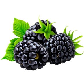 Blackberry