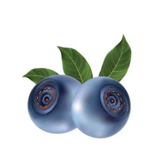 Blueberry 