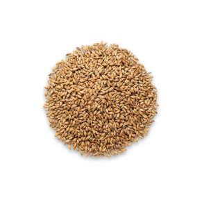 Bolsjehuset Aroma Malt