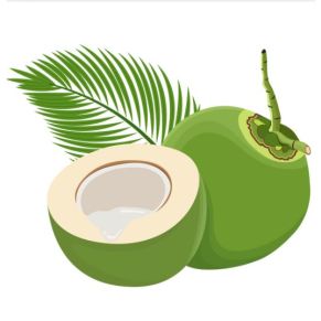 Coconut