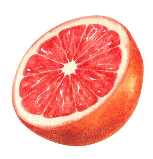 Red GrapeFruit